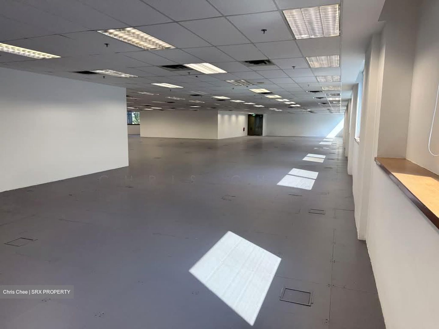 Haw Par Centre (D9), Office #586599061